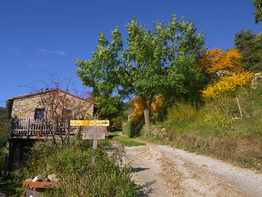 L'arrivée à la ferme des Genêts, à Arlebosc , 07410,Ardèche. .