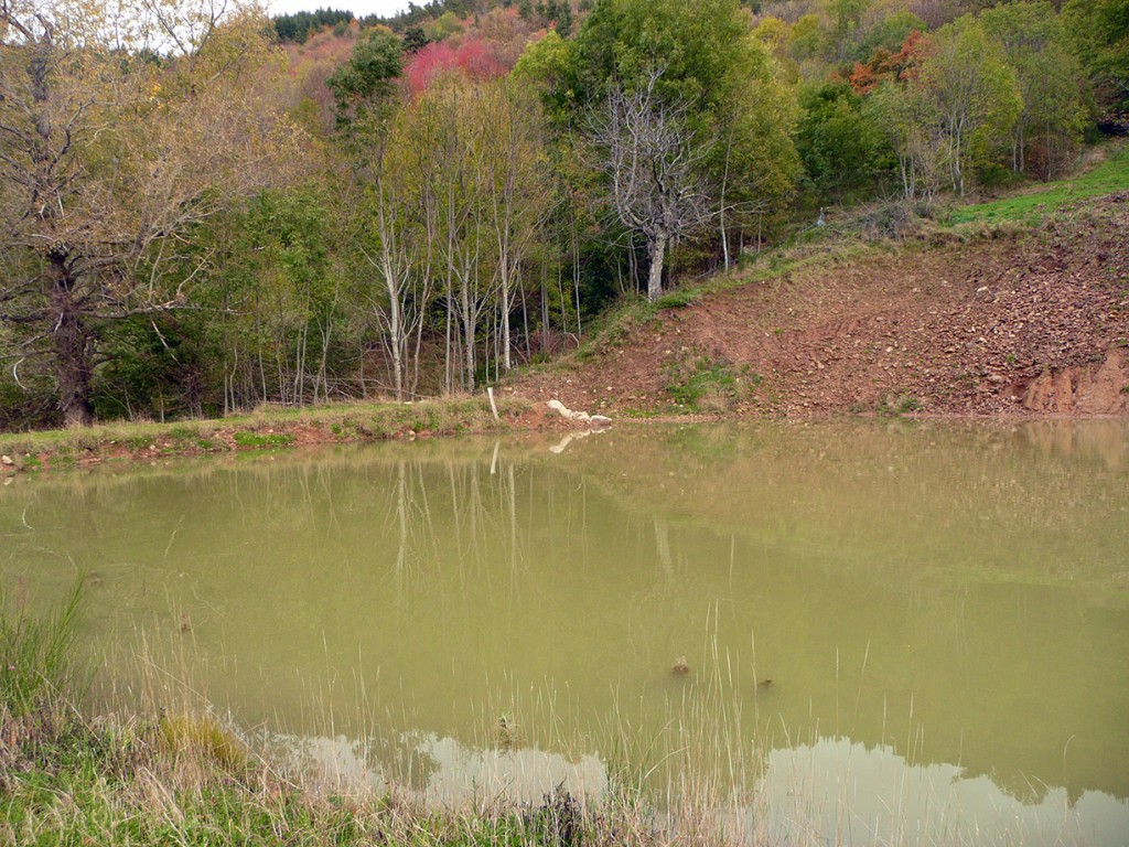Le lac créé par Jonathan Villien à La Ferme des Genêts